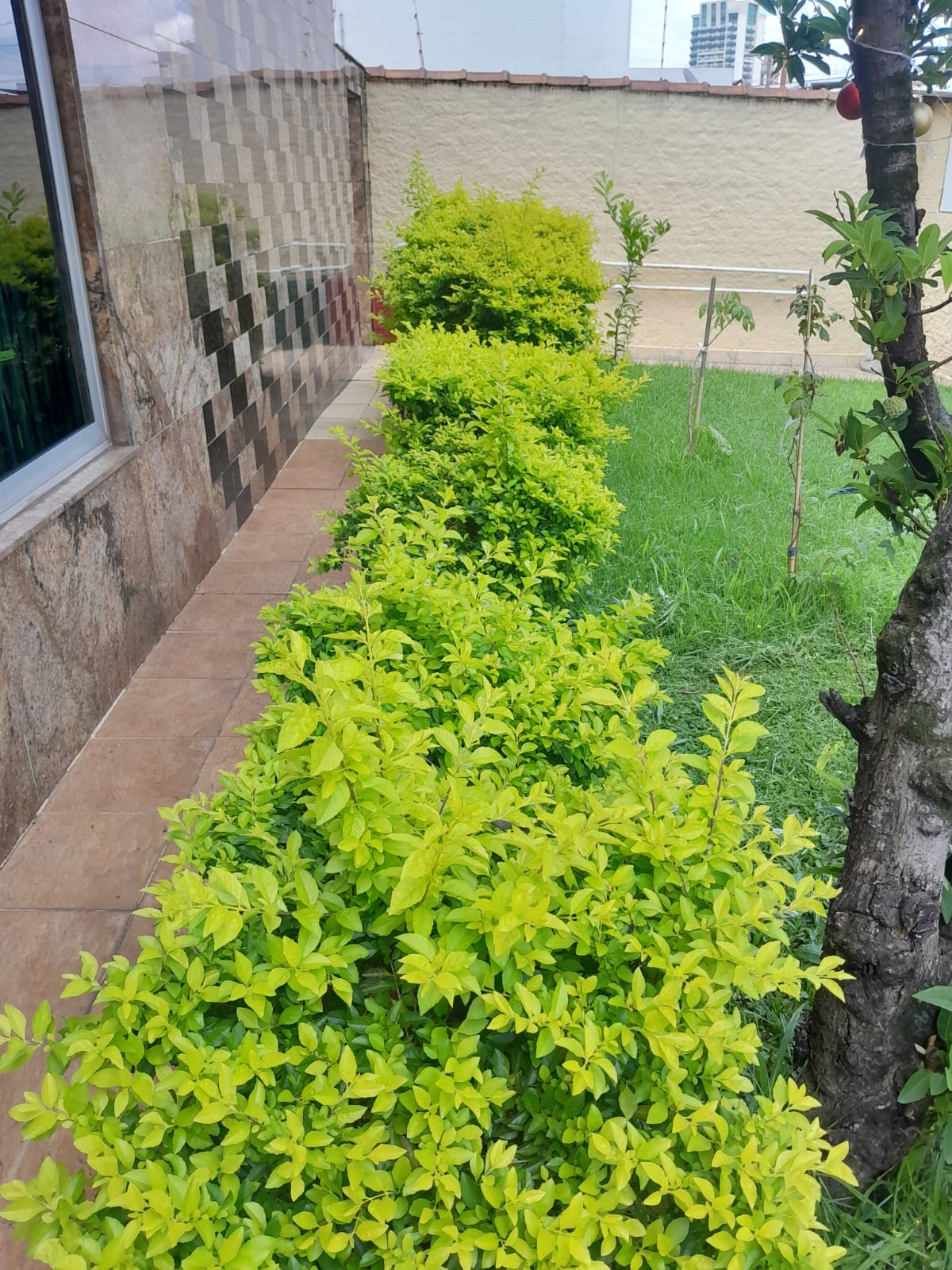 Ambiente Residencial Vila Carrão